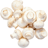 Blood Sugar Support+ Ingredients