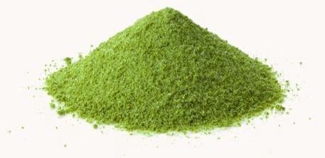 Blood Sugar Support+ Ingredients